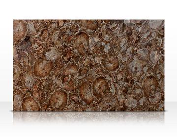 Manufacturers Exporters and Wholesale Suppliers of Brown Petrifed Wood Slab Ajmer Rajasthan